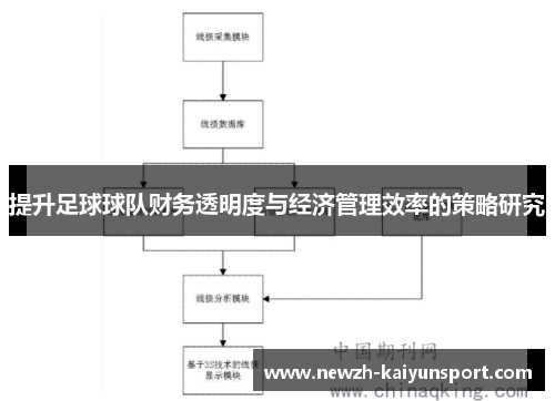 提升足球球队财务透明度与经济管理效率的策略研究