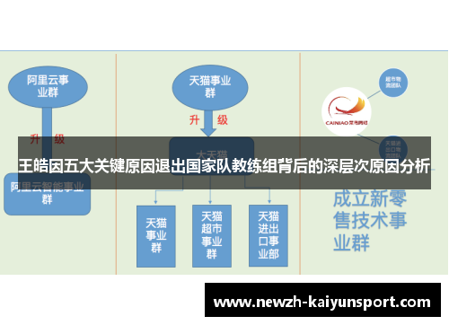 王皓因五大关键原因退出国家队教练组背后的深层次原因分析